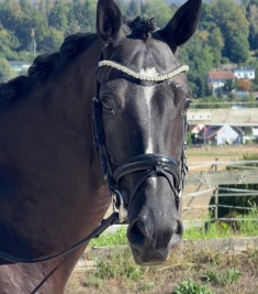 PHOTO 2026 08 19 11 33 56