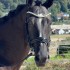 PHOTO 2026 08 19 11 33 56