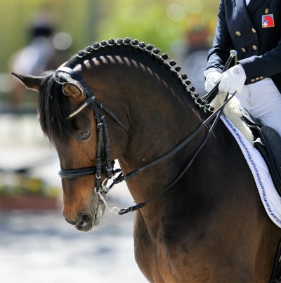 GB Riccione 052